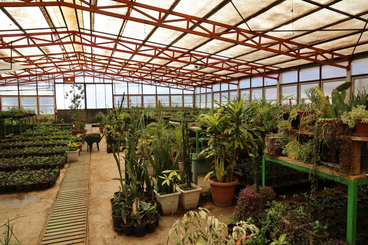 Marmaris Belediyesi Seralarıyla Milyonluk Tasarruf Sağladı 2